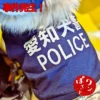 愛知県のドッグカフェで、「愛知犬警察 POLICE」と書かれた青い服を着てコスプレをしている犬
