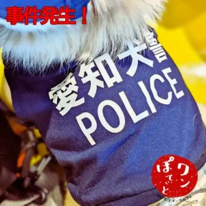 愛知県のドッグカフェで、「愛知犬警察 POLICE」と書かれた青い服を着てコスプレをしている犬