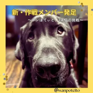 ワンぽてぃとの看板犬のアップ写真。「新・作戦メンバー発足 〜ワンぽてぃと、4年目の挑戦〜」という文字が重ねられている。