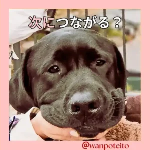 看板犬オリバーも、私たちの挑戦を静かに見守ってくれています。