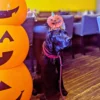 ハロウィンのジャック・オ・ランタンの飾りの横で、カボチャの帽子をかぶって座っている黒いラブラドールレトリバーの看板犬オリバー。