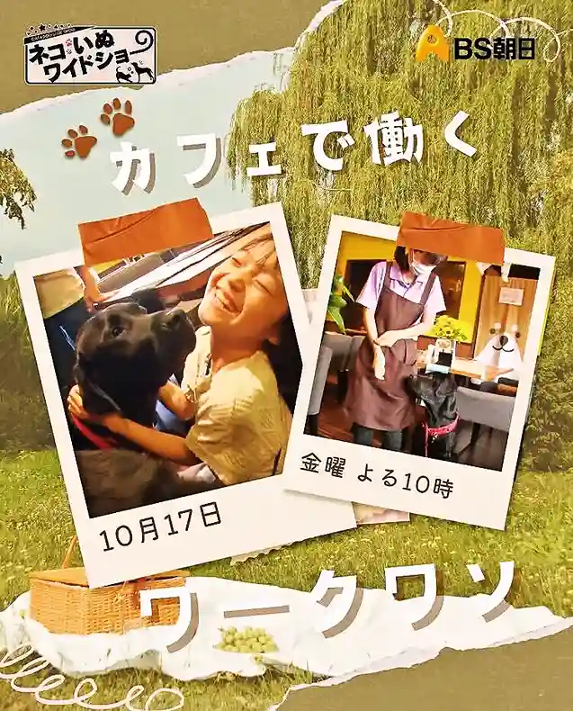 BS朝日「ネコいぬワイドショー」の番組告知画像。春日井市のカフェ「ワンぽてぃと」の看板犬オリバーが、お客様やスタッフと触れ合う様子が写っている。放送日は10月17日(金)よる10時。