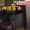 看板犬オリバーがBS朝日「ネコいぬワイドショー」に出演。介助犬の認知度向上という夢が叶った、オーナーとオリバーの感動の瞬間。