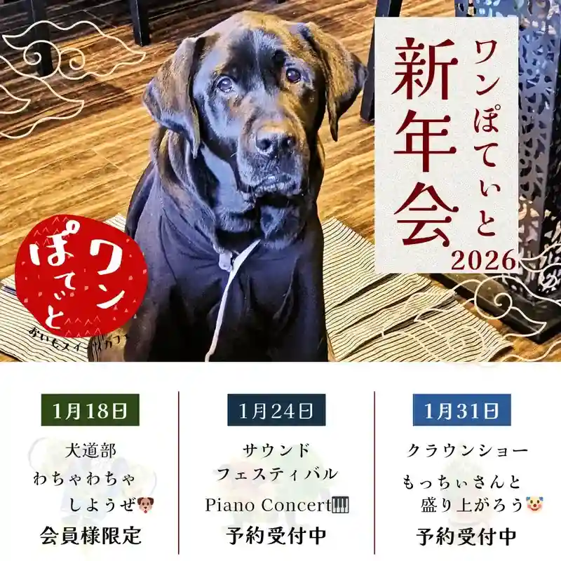 ワンぽてぃと新年会2026の告知ポスター。看板犬の黒いラブラドールレトリバーの写真。イベント日程：1月18日「犬道部わちゃわちゃしようぜ」、1月24日「サウンドフェスティバル Piano Concert」、1月31日「クラウンショー もっちぃさんと盛り上がろう」。