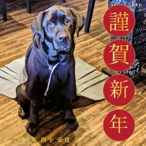 春日井市のカフェレストラン「ワンぽてぃと」の看板犬オリバーが袴を着て新年のご挨拶