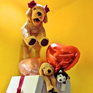 黄色の背景に浮かぶゴールデンレトリバーのぬいぐるみと、赤いハートの風船、白いギフトボックスが並ぶ「ワンぽてぃと」の店内装飾。