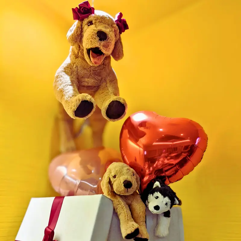 黄色の背景に浮かぶゴールデンレトリバーのぬいぐるみと、赤いハートの風船、白いギフトボックスが並ぶ「ワンぽてぃと」の店内装飾。