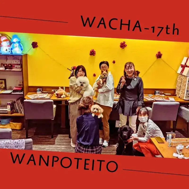 わちゃわちゃの会で集まったワンちゃんたちの集合写真
