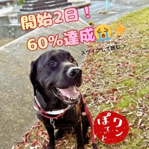 屋外で笑顔を見せる看板犬の黒ラブと「開始2日！60％達成」の文字
