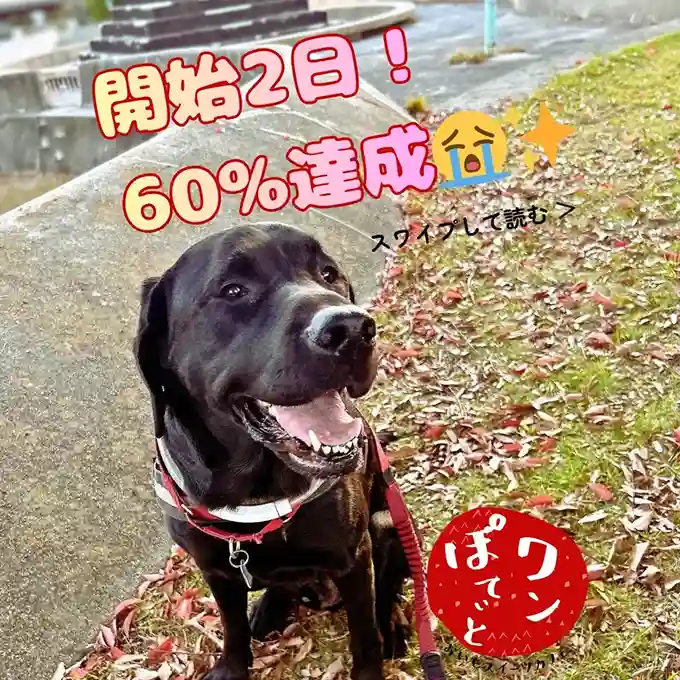クラウドファンディング開始2日で60%達成!看板犬オリバーの笑顔とワンぽてぃとのロゴ