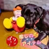 【お客様との出会い】「ここが私の癒し」常連様からのエールと、看板犬が繋ぐ心安らぐ居場所 ぬいぐるみと一緒に幸せそうに眠る黒ラブの看板犬オリバー