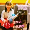 ワンぽてぃとの4周年記念にいただいた青いお花を手に持ち、看板犬の黒ラブラドール「オリバー」と笑顔で並ぶ小栗加奈の様子