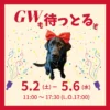 赤いリボンをつけた黒ラブの看板犬オリバーと、GWの営業期間（5月2日土曜から5月6日水曜）および営業時間（11時から17時半）を知らせるバナー画像。