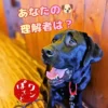 「あなたの理解者は？」という文字と犬のイラストが入った、ワンぽてぃとの黒い看板犬オリバーの写真。左下には「ワンぽてぃと おいもスイーツカフェ」の赤いロゴマーク。