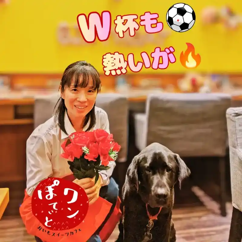 おいもスイーツカフェ「ワンぽてぃと」の小栗加奈さんが赤いバラのブーケを持ち、黒いラブラドールレトリバーのオリバーと並んで笑顔で写っている写真。「W杯も熱いが」という文字とサッカーボールのイラストが添えられています。
