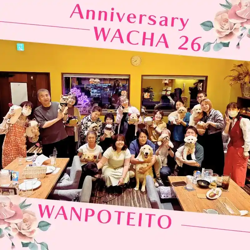 春日井市のドッグカフェ「ワンぽてぃと」で開催された6月の犬交流会「わちゃわちゃの会」の様子