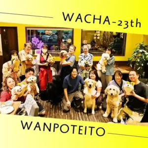 春日井市のドッグカフェ「ワンぽてぃと」で開催された7月の犬交流会「わちゃわちゃの会」の様子