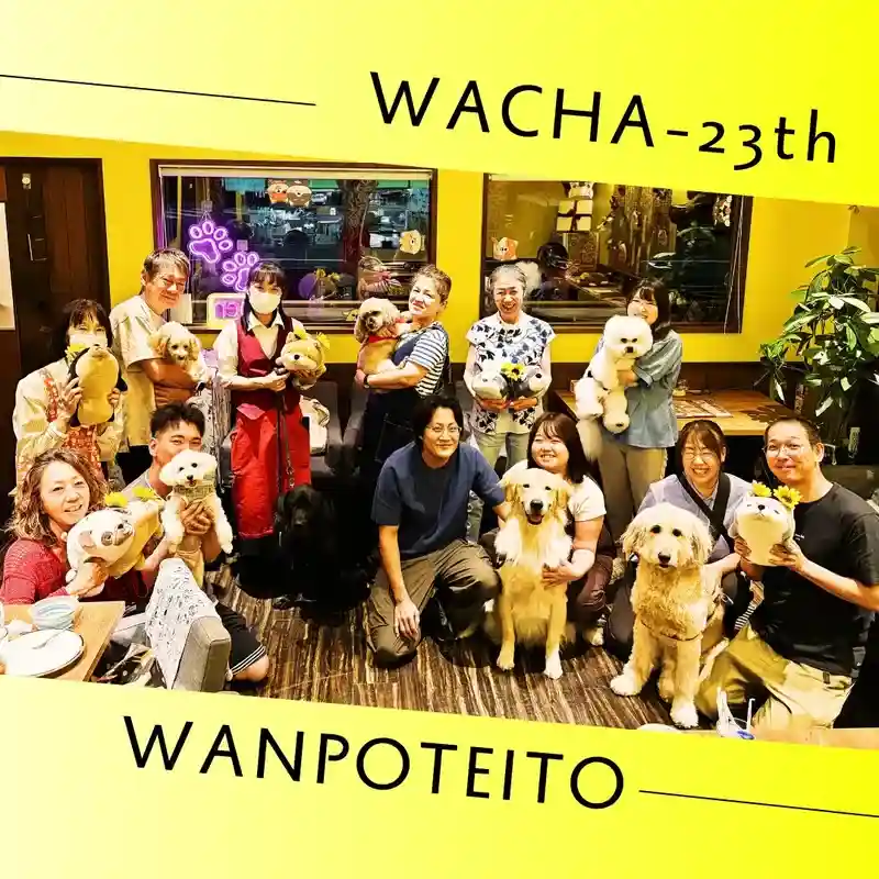 春日井市のドッグカフェ「ワンぽてぃと」で開催された7月の犬交流会「わちゃわちゃの会」の様子